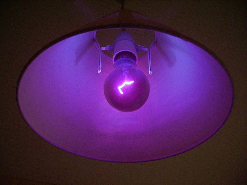 Ultraviolet_light_bulb