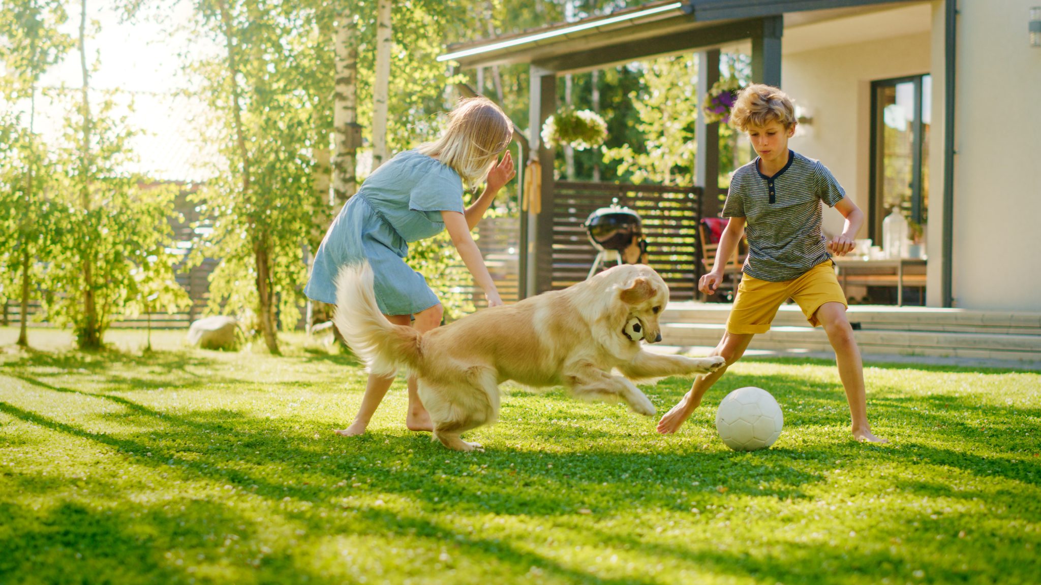 two kids playing with dog in the yard